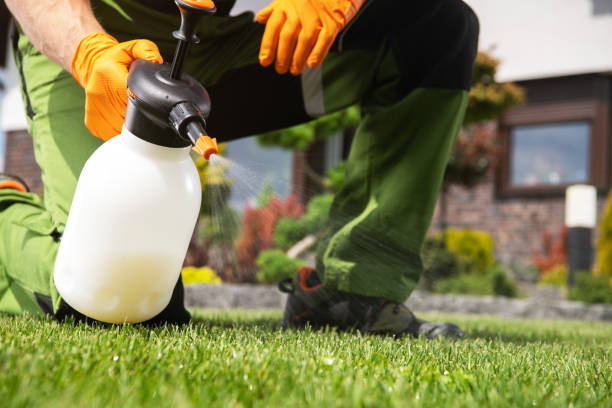 Best Affordable Pest Control Services  in Crowley, TX