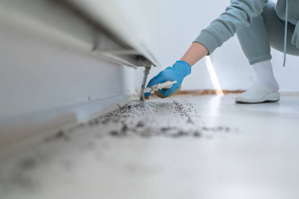 Best Ant Control Services  in Crowley, TX